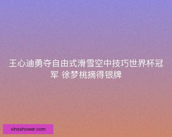 王心迪勇夺自由式滑雪空中技巧世界杯冠军 徐梦桃摘得银牌